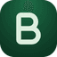 Bit Parser logo