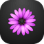 Open in TextMate icon